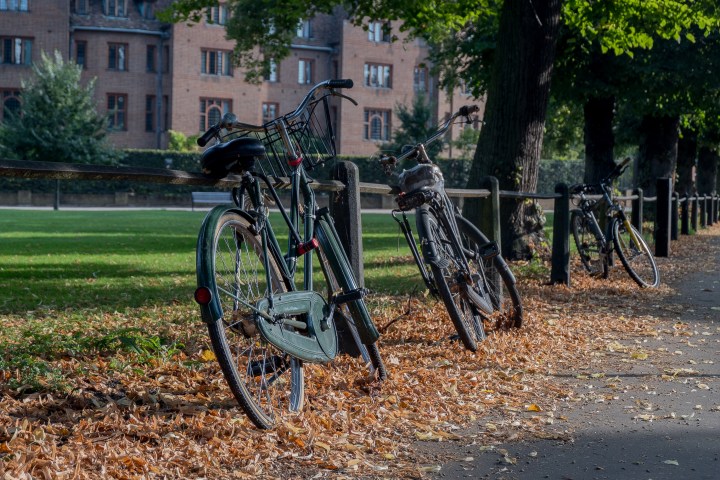 Bicycles parked along a fence with fallen leaves on a pathway, brick building in the background.