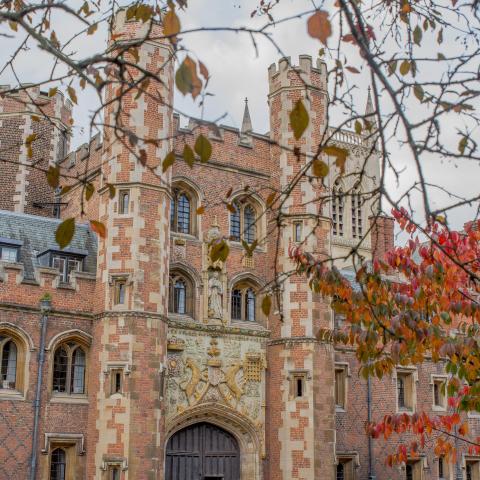 a building next to a tree