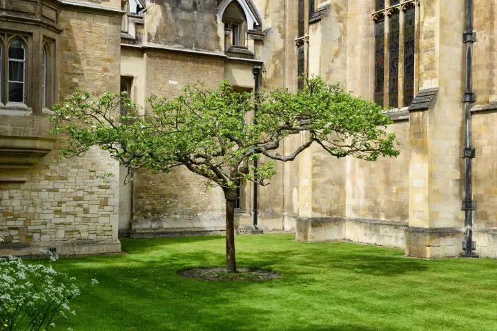 a large stone building with grass and trees