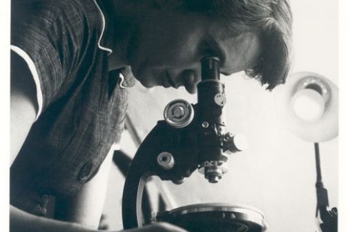 Person focusing a microscope, black and white photo with directional lighting.