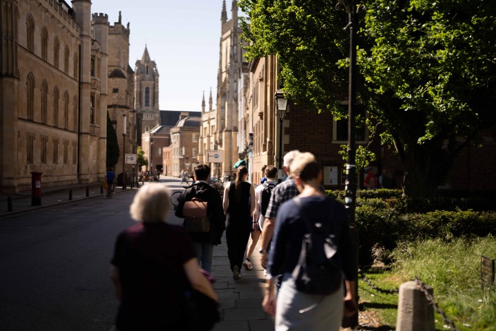 People walking on a sunny street lined with historic buildings and trees.